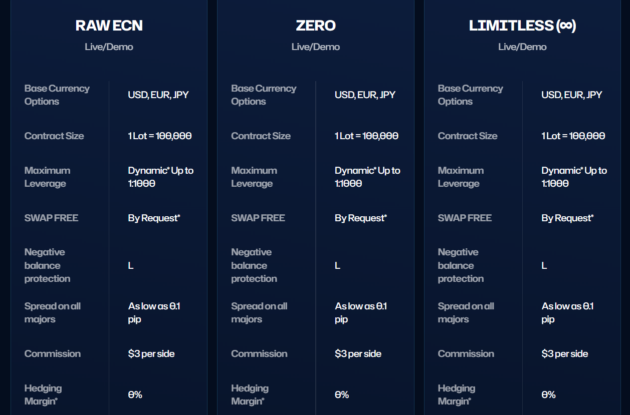 Overview of the account types offered by VEO Markets.