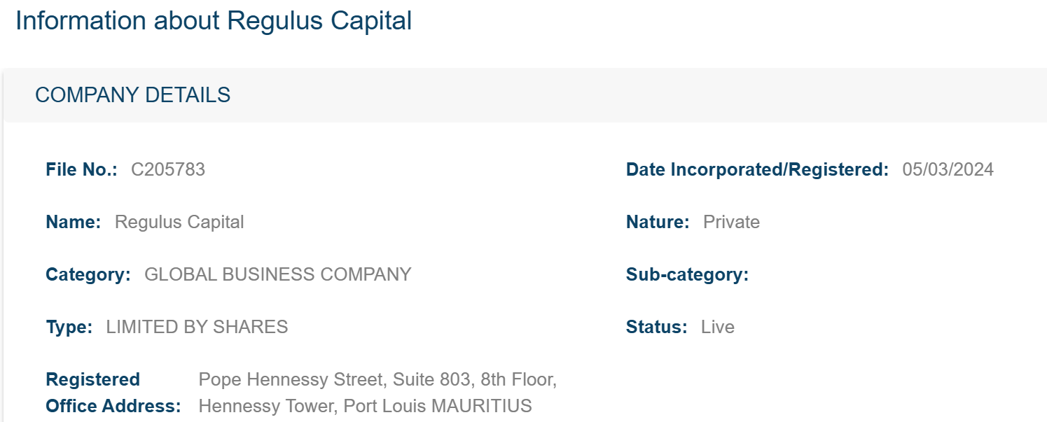 Official business registry entry showing the company's registration details in Mauritius.
