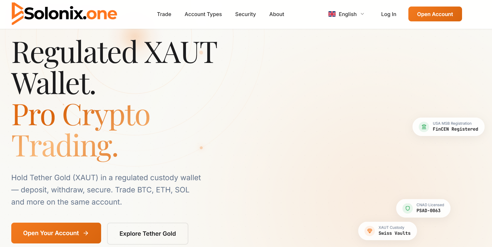 The website features a modern design, fast performance, and detailed information about the Solonix.one services.